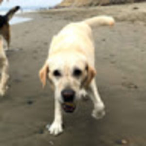 Meet your Posher, Audrey